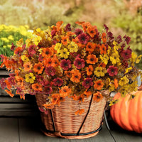 Autumn Elegance Artificial Flower Arrangement™